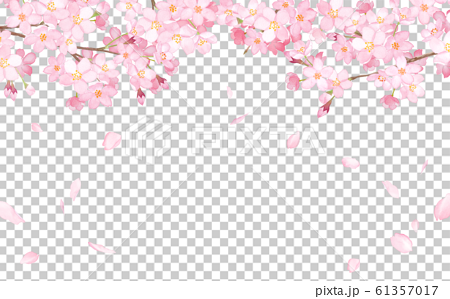 桜と散る花びらのフレーム　水彩イラスト 61357017