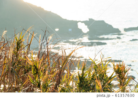 城ヶ島(冬) 城ヶ島(冬) 61357630