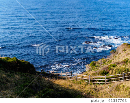 城ヶ島（冬） 61357768