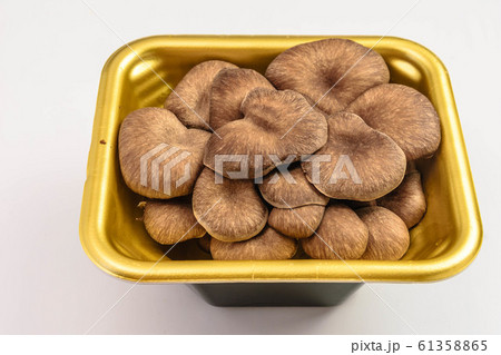 食用キノコ　ひらたけ 61358865