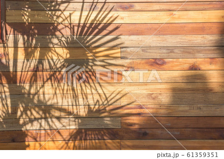 Tropical palm leaves shadows on Red wood plank Tropical palm leaves shadows on Red wood plank 61359351
