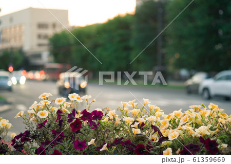 Khabarovsk, Russia - Aug 28, 2019: The streets of 61359669