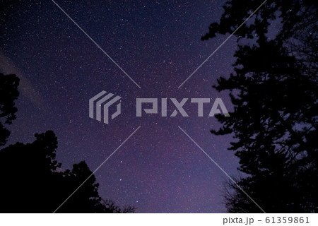 満天の星空 61359861