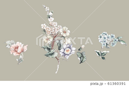 生花 活け花 透明水彩 61360391