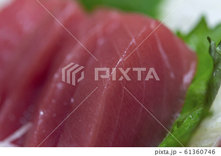 本鮪の赤身 61360746