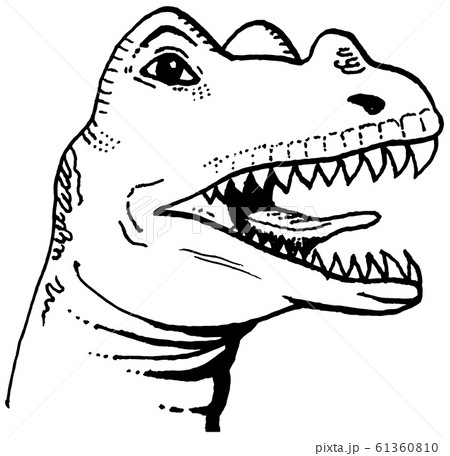 Dinosaur head drawing. Ceratosaurus sketch. 61360810