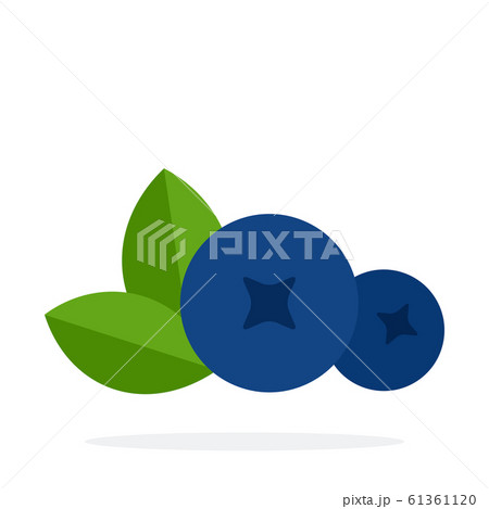 Blueberry berries front view vector flat material design isolated object on white background. 61361120