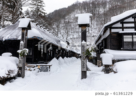 冬の鶴の湯温泉 61361229