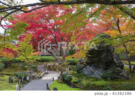 京都 宝厳院(ほうごんいん)の紅葉 天龍寺の塔頭寺院 京都 宝厳院(ほうごんいん)の紅葉 天龍寺の塔頭寺院 61362386