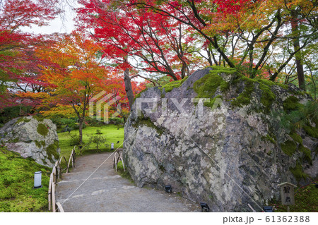京都 宝厳院(ほうごんいん)の紅葉 天龍寺の塔頭寺院 京都 宝厳院(ほうごんいん)の紅葉 天龍寺の塔頭寺院 61362388