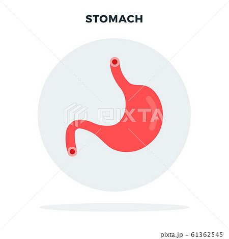 Colored human stomach flat vector 61362545