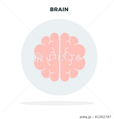 Human brain in a gray circle vector flat isolated 61362797
