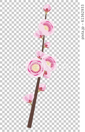 Peach peach peach blossom branch 61362933