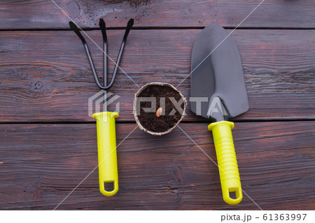 Tools for gardening and seeded fibre pot. 61363997