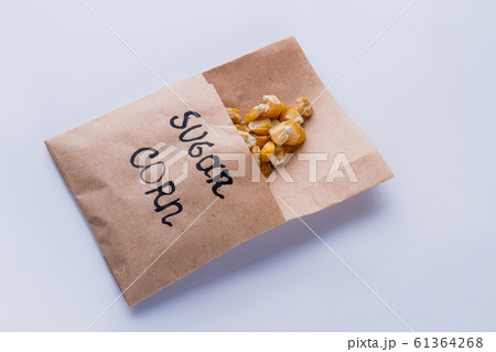 Package of dried corn seeds. 61364268