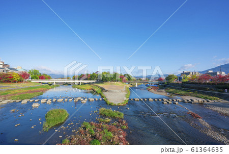 京都 鴨川公園 秋 京都 鴨川公園 秋 61364635