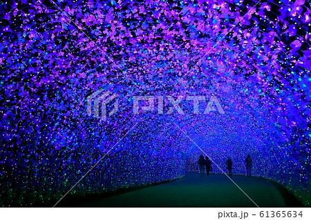 なばなの里イルミネーション なばなの里イルミネーション 61365634