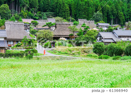 美山・かやぶきの里 61366940