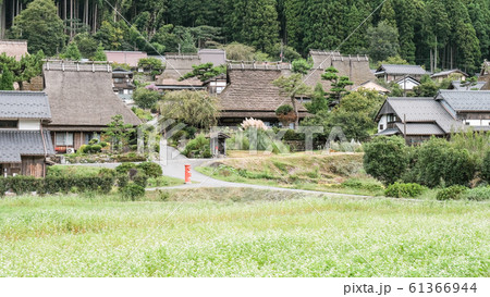 美山・かやぶきの里 61366944