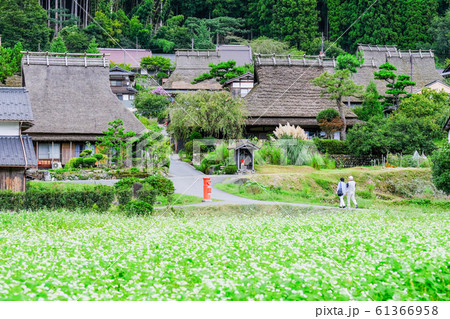 美山・かやぶきの里 61366958