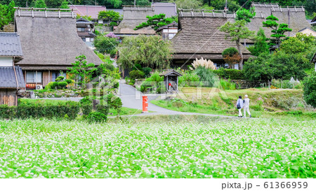 美山・かやぶきの里 61366959