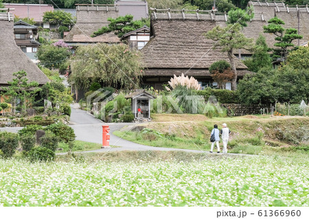 美山・かやぶきの里 61366960