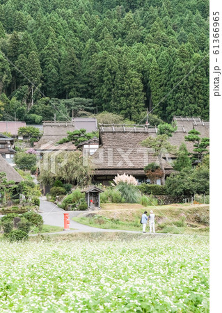 美山・かやぶきの里 61366965