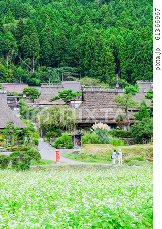 美山・かやぶきの里 61366967