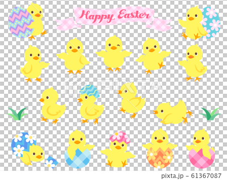 イースターのひよこのイラストセット イースターのひよこのイラストセット 61367087
