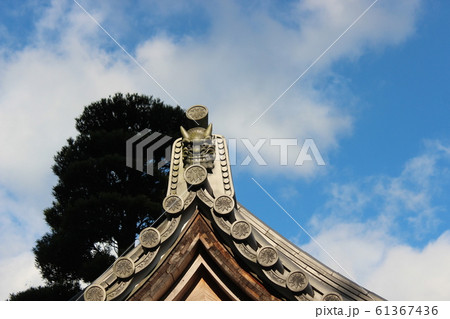 興国寺 興国寺 61367436