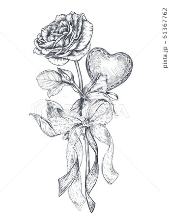 Vector illustration of hand drawn vintage valentine and wedding day bouquet in sketch style. 61367762