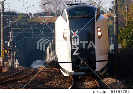 トンネルを抜ける特急成田エクスプレス 61367799