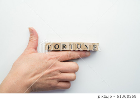 イメージ　フォーチュン 61368569