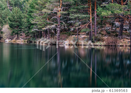 Pine forest reflecting on the lake water in a mountainous area on a misty day 61369563