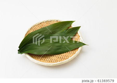 バランとザル 61369579