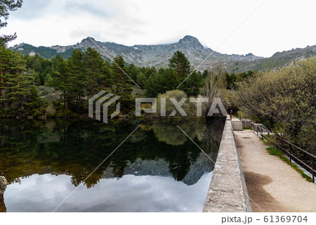Picturesque view of mountain dam and pine forest on a misty day 61369704