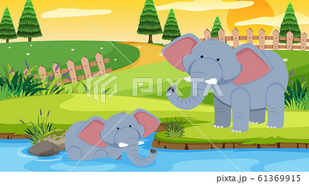 Scene With Elephants In The Parkのイラスト素材