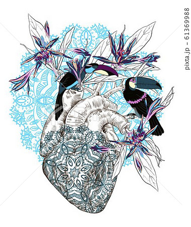 Realistic Heart Drawing Images  Browse 61668 Stock Photos Vectors and  Video  Adobe Stock