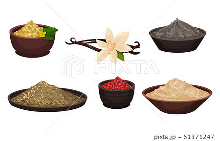 Heaps of Different Spices and Condiments Poured in Bowl Vector Set Heaps of Different Spices and Condiments Poured in Bowl Vector Set 61371247