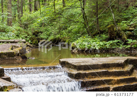Little waterfall in the Rappenalptal near Bad Hindelang in Bavaria, Germany Little waterfall in the Rappenalptal near Bad Hindelang in Bavaria, Germany 61373177
