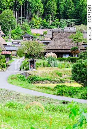 美山・かやぶきの里 61373261