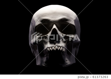 Front view of gypsum model of the human skull isolated on black background 61373263