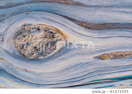 wooden texture 61373505
