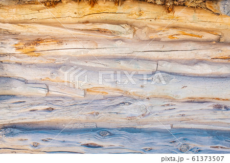 wooden texture 61373507