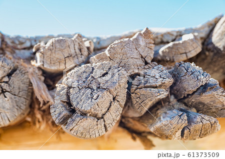 wooden texture wooden texture 61373509