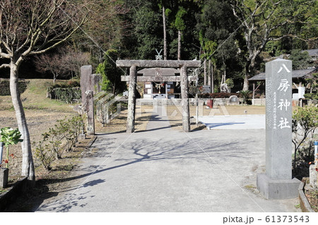 八房神社（鹿児島県鹿児島市犬迫町） 61373543