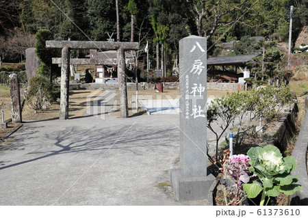 矢房神社(鹿児島県鹿児島市犬迫町) 矢房神社(鹿児島県鹿児島市犬迫町) 61373610