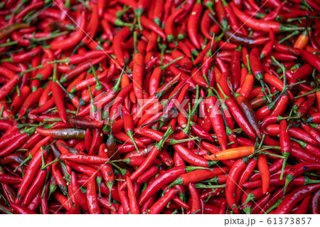 Red hot Chillies on sale Red hot Chillies on sale 61373857