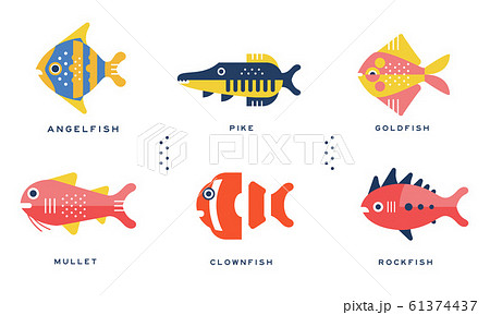 Freshwater and Ocean Fishes Collection, Angelfish, Pike, Goldfish, Mullet, Clownfish, Rockfish Vector Illustration 61374437