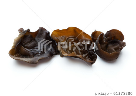 キクラゲ 61375280